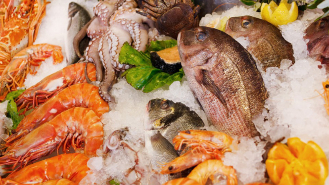 Seafood/boga bahari.