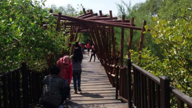 Ekowisata Mangorove Wonorejo Rungkut Surabaya.