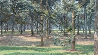 Berkunjung ke Agrowisata Madukismo, Benar-benar Unik