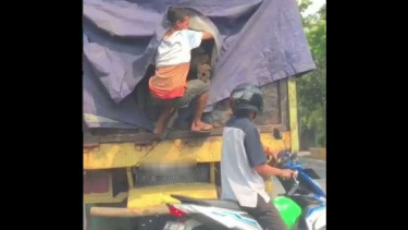 Bajing loncat sedang beraksi di Kelapa Gading.