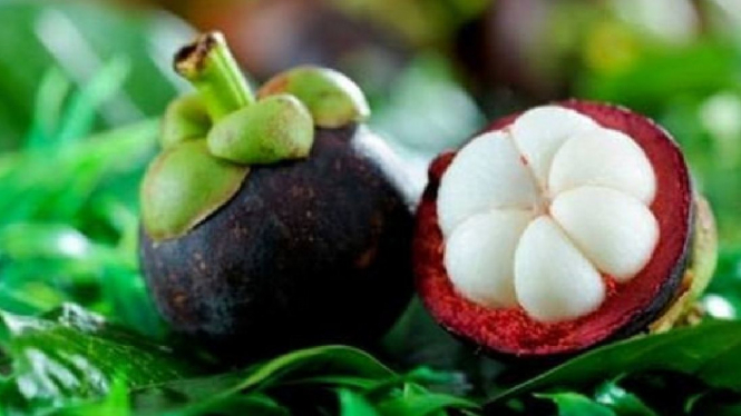 Buah manggis.
