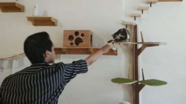 Kucing koleksi Neko Kepo Cat Cafe