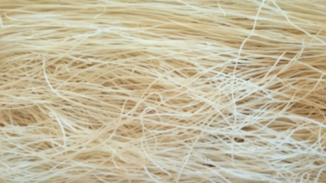 Ilustrasi bihun