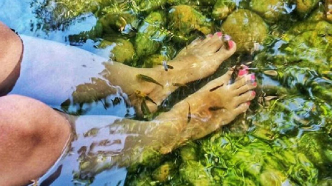 Ilustrasi fish spa