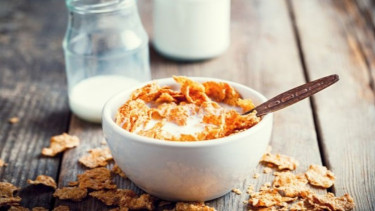 Ilustrasi oatmeal.