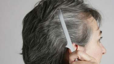 Ilustrasi rambut beruban.