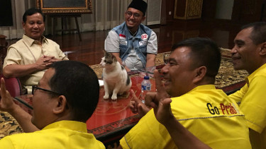 Prabowo dan kucingnya, Bobi, ikut rapat bareng dengan caleg Partai Golkar.