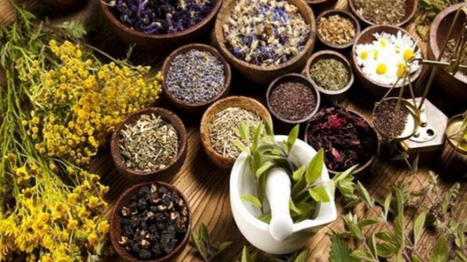 Tanaman herbal.