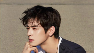 Cha Eun Woo