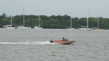 Puluhan kapal yacth berkumpul di pelabuhan Tanjung Kumai, Kalimantan Tengah.