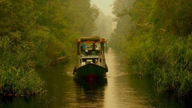 Perahu klotok menuju Tanjung Puting