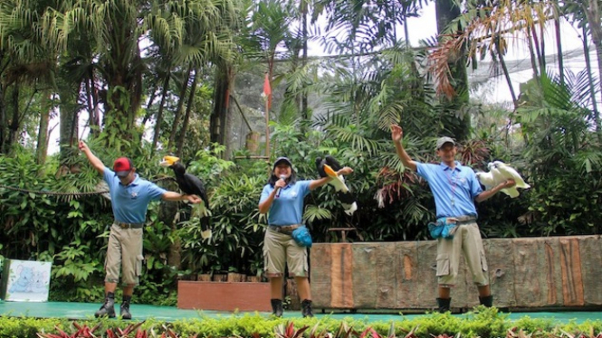 Bird Park, Royal Safari Garden Puncak. 