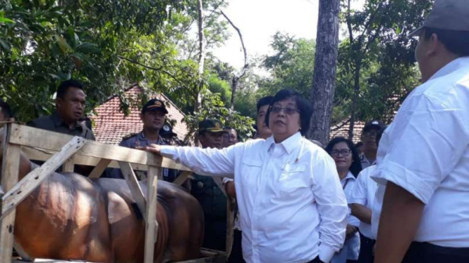 Menteri LHK Siti Nurbaya.