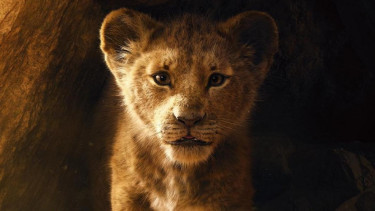 The Lion King