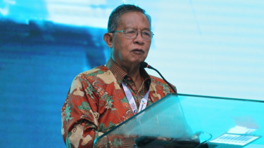 Darmin Nasution