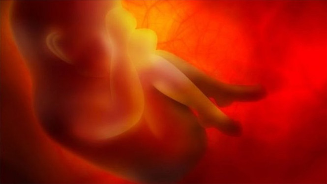 Ilustrasi bayi dalam kandungan -Getty Images.