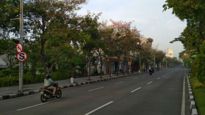 Tabebuya merekah di Jalan Mayjen Sungkono Surabaya, Jawa Timur, pada Kamis pagi, 28 November 2018.