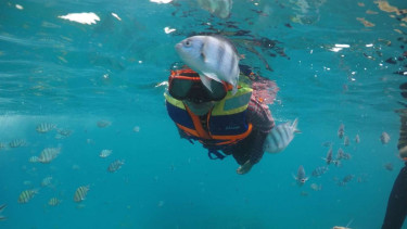 Snorkeling di Belitung