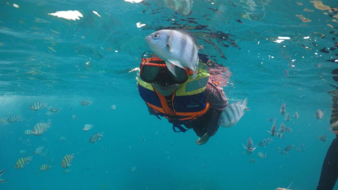 Snorkeling di Belitung