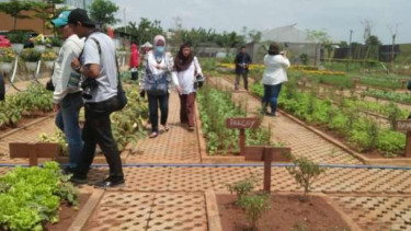 Salah satu pemanfaatan dari ruang terbuka hijau.