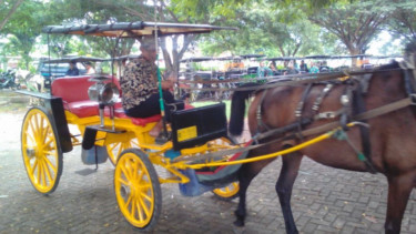 Delman atau andong di DIY