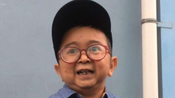 Daus Mini