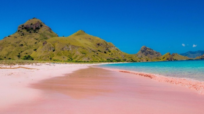 Pink Beach di Flores, NTT.