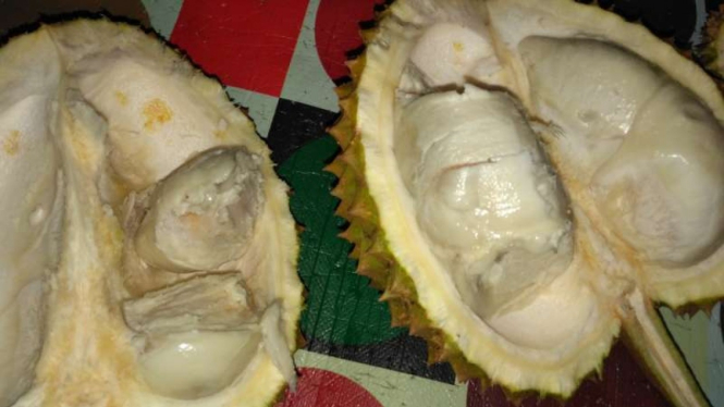 Durian Lombok