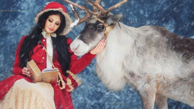 Kebun binatang Rusia sewakan rusa kutub untuk meriahkan Natal - Roev.Ru