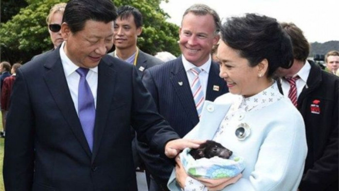 Charles Qin (tengah) dikenal sebagai salah satu penerjemah top Australia.