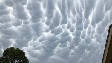 Awan payudara atau mammatus