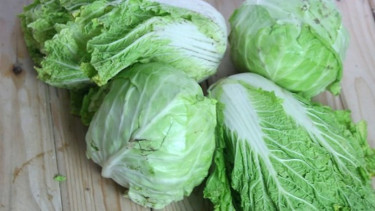 Sayur kubis.