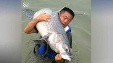 Hasil pancingan ikan seberat 75 Kg.