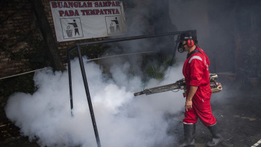 Waspada Demam Berdarah Dengue