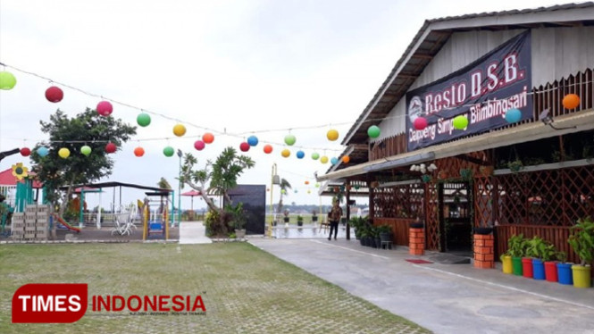 Persawahan Ala Rumah Makan Daipong Simpang Blimbingsari, Banyuwangi. (FOTO: Roghib Mabrur/TIMES Indonesia)