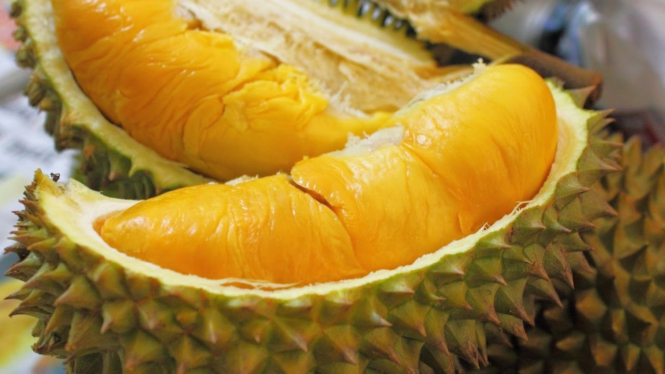 Ilustrasi durian.