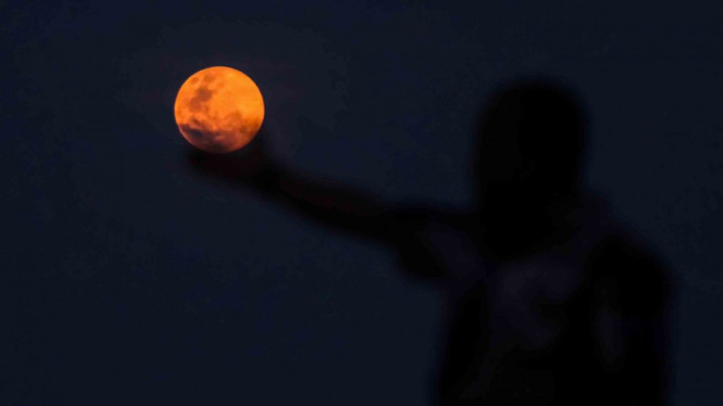 Seorang warga berfoto dengan latar belakang fenomena bulan Supermoon di kota Lhokseumawe, Aceh, Selasa, 19 Februari 2019.