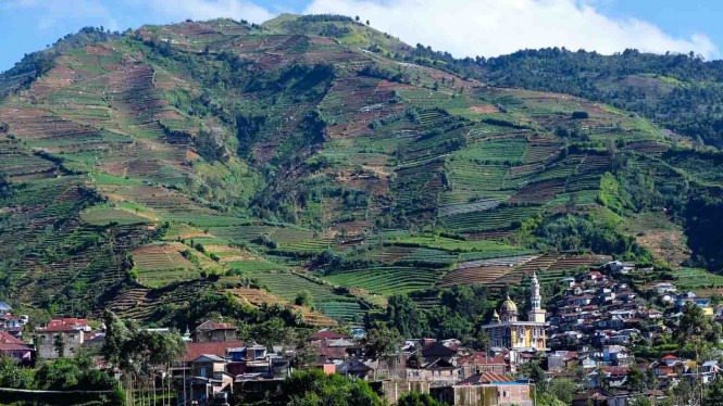 Pemandangan lahan pertanian di lereng bukit di kawasan dataran tinggi Dieng, Kejajar, Wonosobo, Jateng