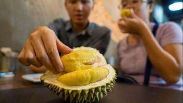 Makan durian.