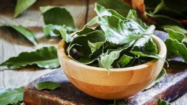 Manfaat daun salam