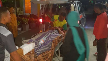 Warga diserang buaya di Sumatera Barat.