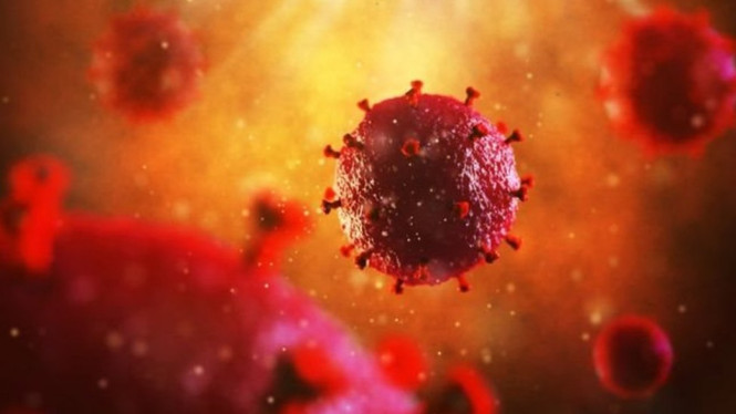 HIV tidak lagi terdeteksi di tubuh pasien setelah pencangkokan.-Getty Images