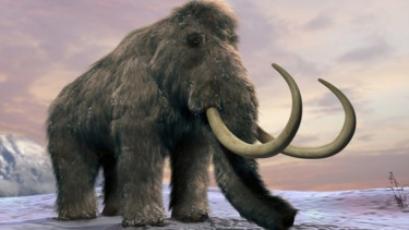 Mammoth.