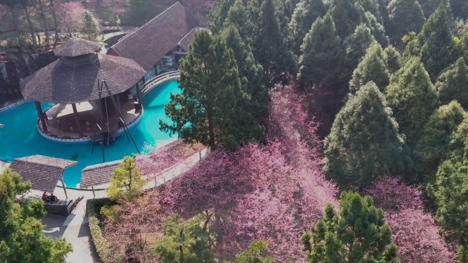 Formosan Aboriginal Culture Village
