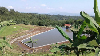 Hadapi El Nino, Ekonom Sarankan Petani Gunakan Asuransi Pertanian