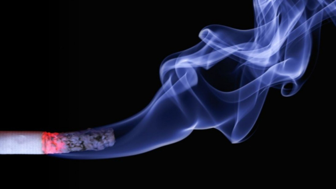 Ilustrasi rokok.