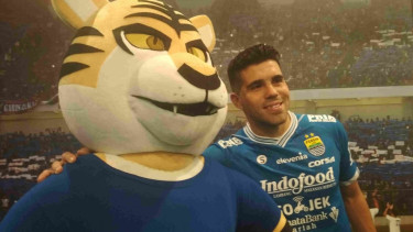 Bek Persib Bandung, Fabiano Beltrame
