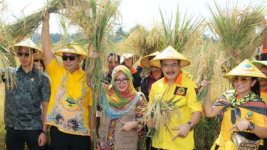 Keluarga Cendana saat panen padi
