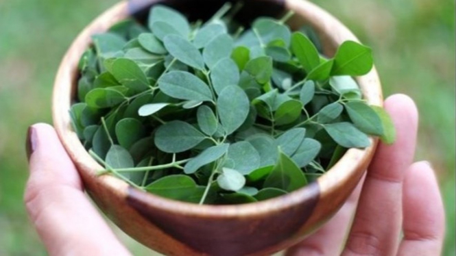 Daun kelor.