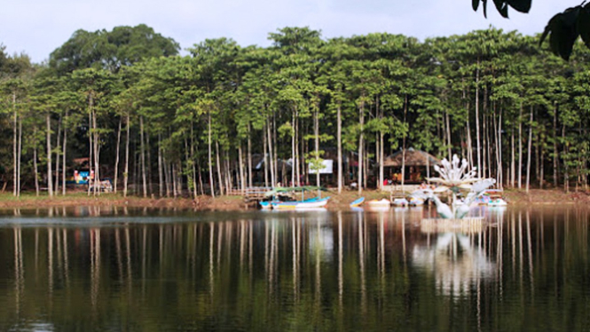 Waduk Kubangkangkung, Cilacap. (FOTO: koebangkangkoengadventureforest)
